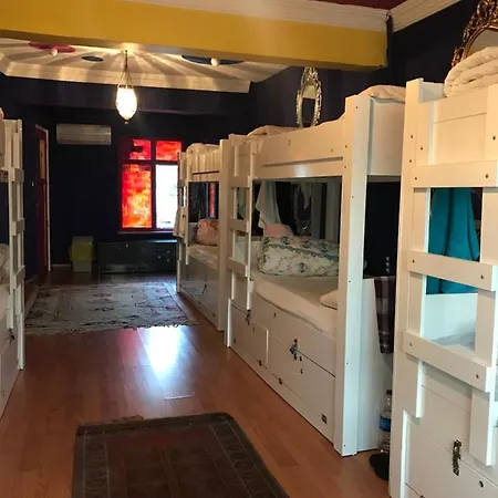 بيت شباب استقلال تراس *