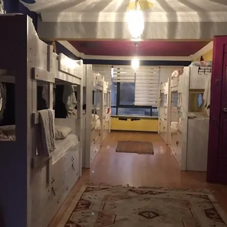 بيت شباب بيت شباب استقلال تراس